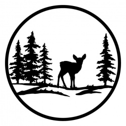 scene-baby-deer-1