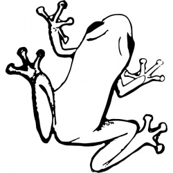 tree-frog-1