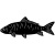 fish-3