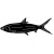 fish-4