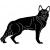 puppy-1