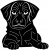 puppy-2