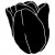 tulips1_171949863