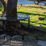 Tree-Bench-2