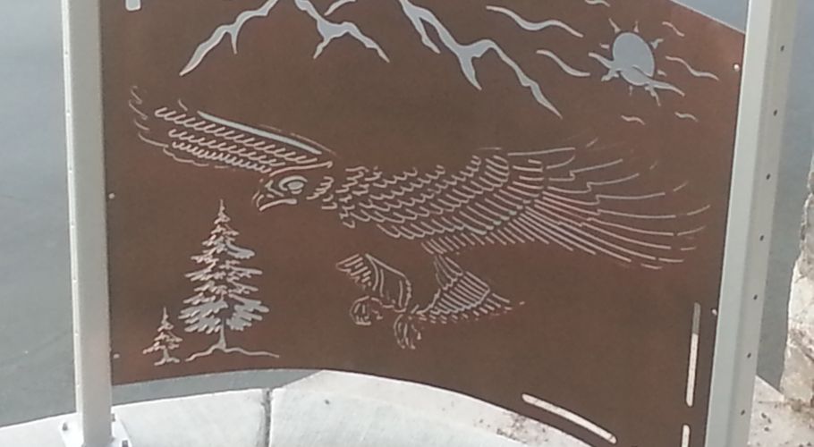 Plasma-Art-Eagle